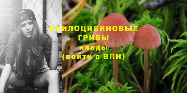 Альфа ПВП Алексин